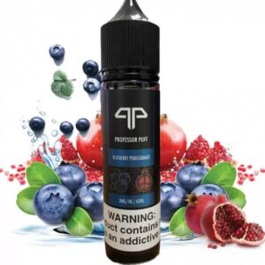 Profossor Puff Blueberry Pomegranate Likit Premium 60ml