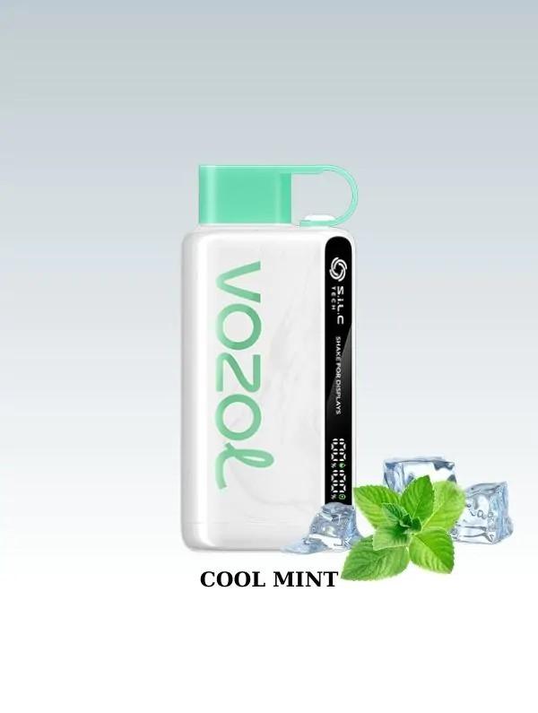 Vozol Star 12000 Cool Mint