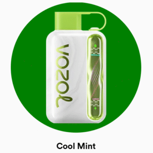 Vozol Star 40000 Cool Mint