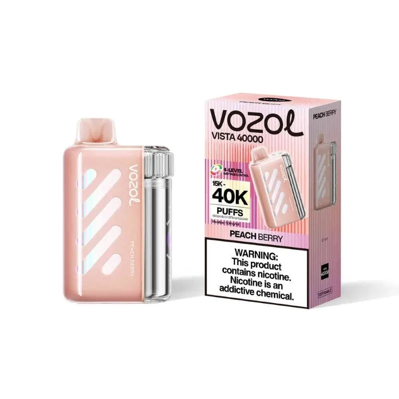 Vozol Vista 40000 Peach Berry