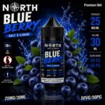 North Blueberry Salt Likit