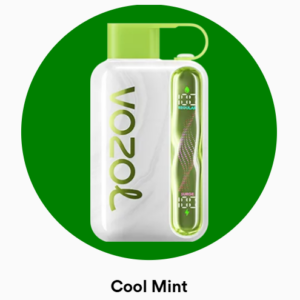 Vozol Star 40000 Cool Mint