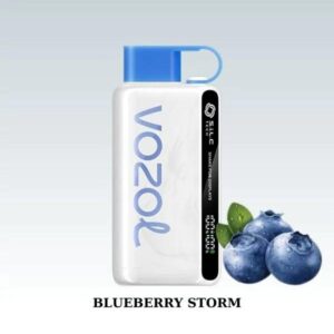 Vozol Star 12000 Blueberry Storm