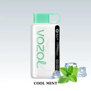 Vozol Star 12000 Cool Mint